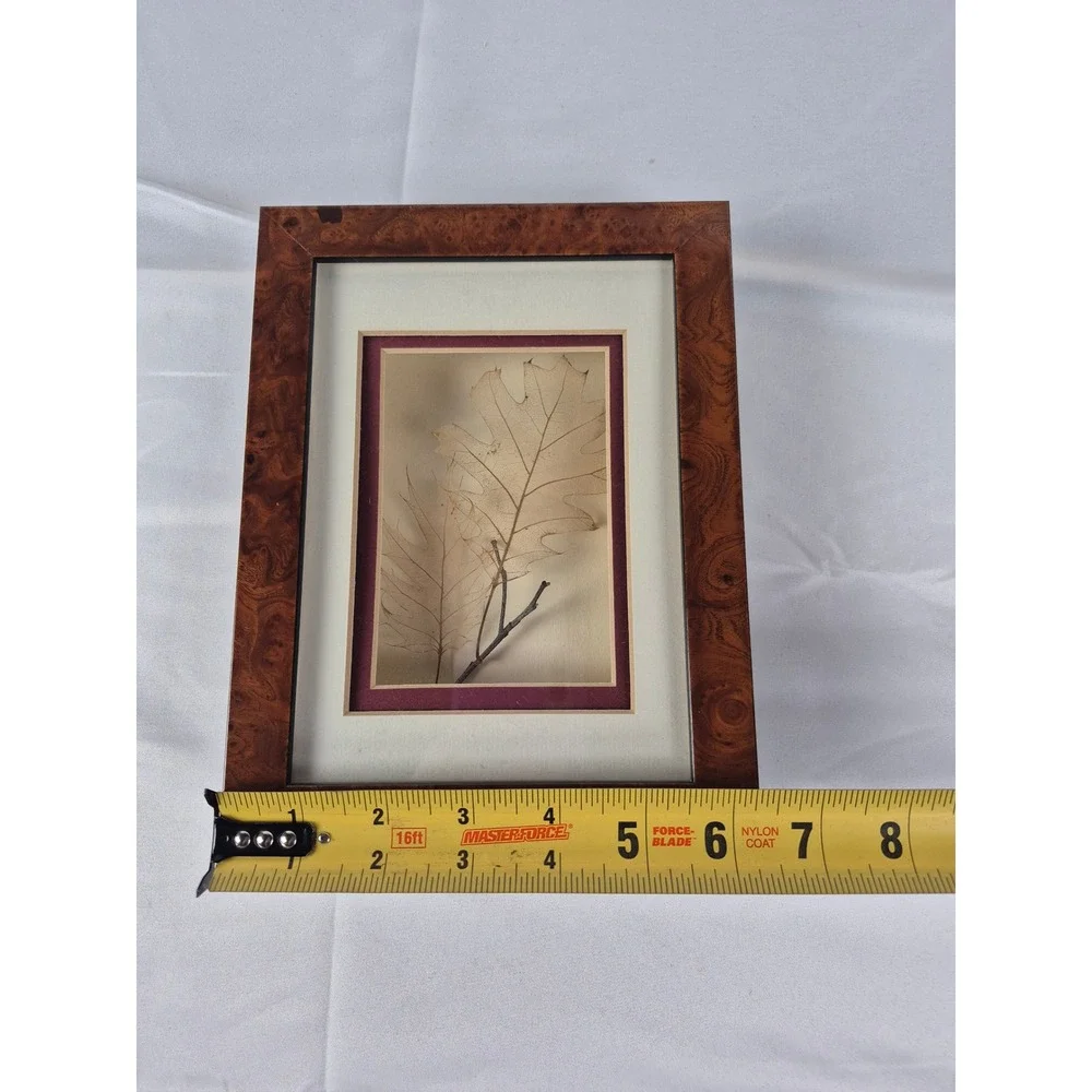Vintage Skeleton Leaf Art Burl Wood Look Frame Booker Morey 1994 Decor Oak Tree